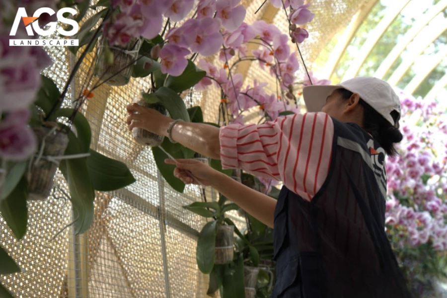 Những Sai Lầm Phổ Biến Khi Thiết Kế Đường Hoa Và Cách Phòng Tránh Hiệu Quả