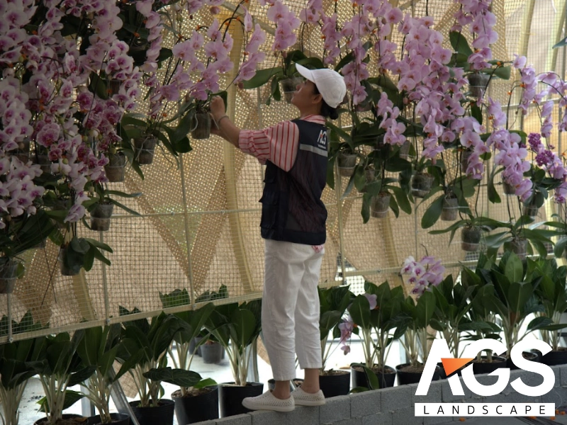 Mô hình hoa treo/lơ lửng