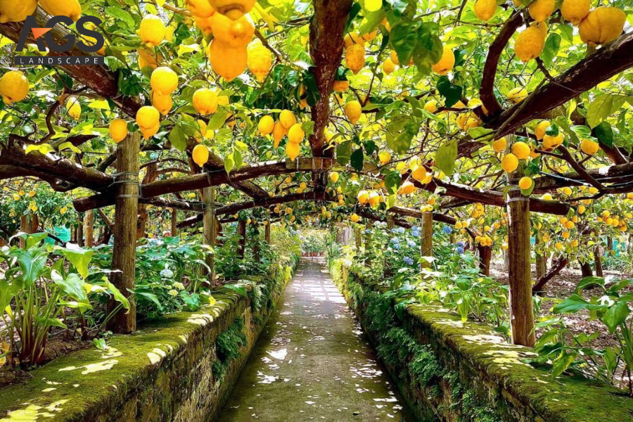 Thiết Kế Đường Hoa Cây Ăn Quả: Giải Pháp Cảnh Quan Độc Đáo Và Bền Vững