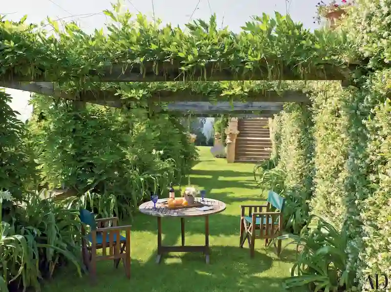 Sân vườn sau nhà có giàn hoa, pergola (Nguồn: Architectural Digest) Sân vườn sau nhà có giàn hoa, pergola (Nguồn: Architectural Digest)