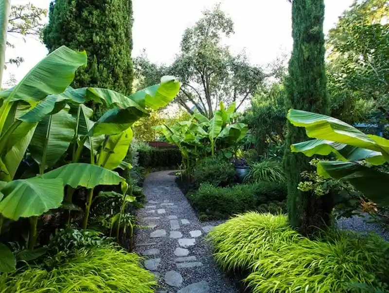 Sân vườn nhiệt đới (Nguồn: Garden Design)