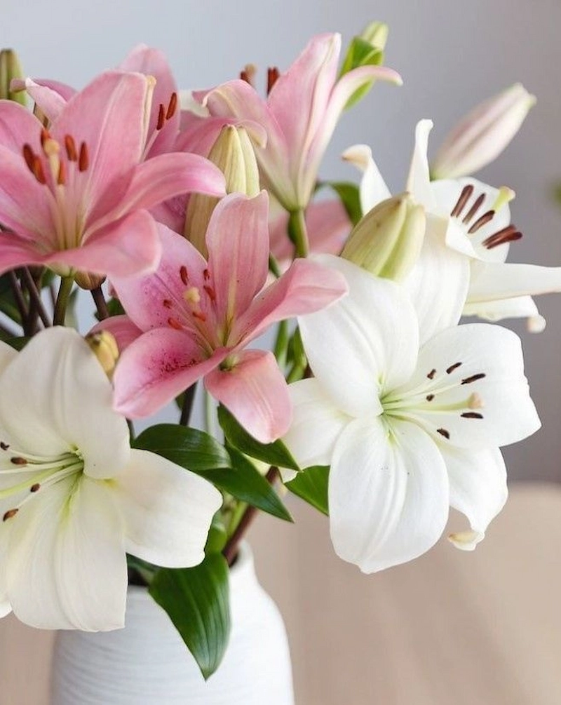 Kết hợp một số hoa tươi khác (Nguồn: Pinterest)