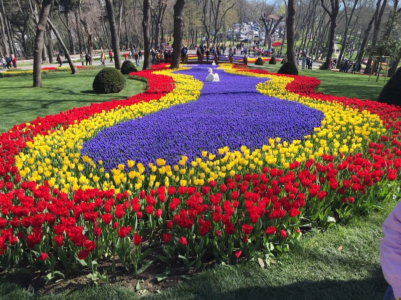 Vai trò của thiết kế đường hoa thảm cỏ trong cảnh quan (Nguồn: Pinterest)