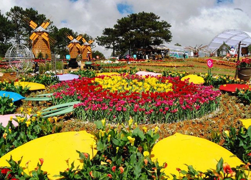 Đường hoa Đà Lạt: Xứ sở ngàn hoa khoe sắc