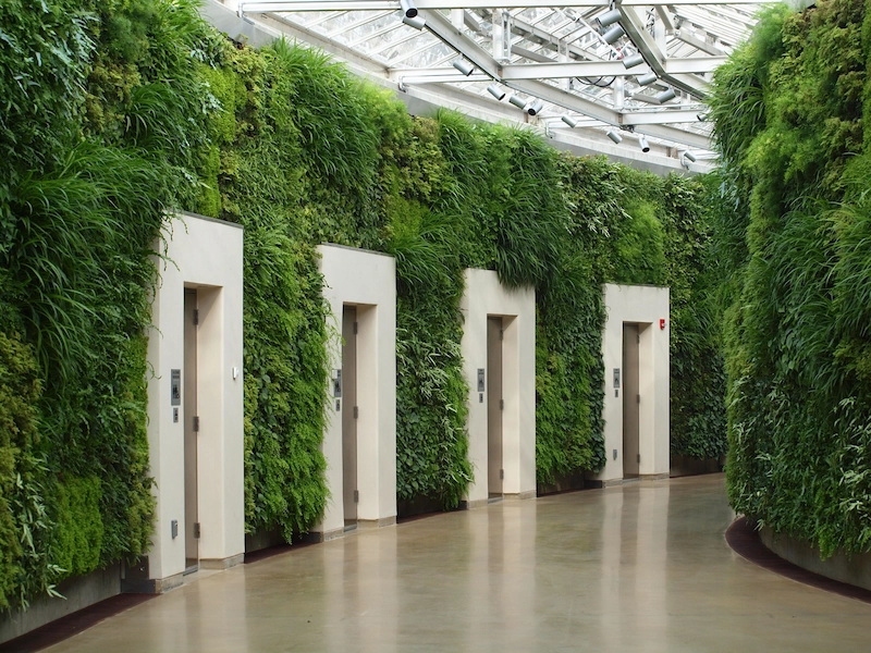 thi công tường cây giả