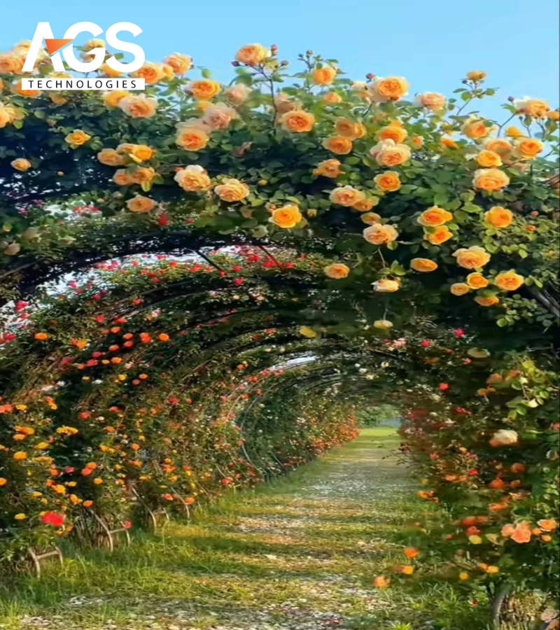 Khám phá vẻ đẹp diệu kỳ của đường hoa cây leo (Nguồn: Pinterest)