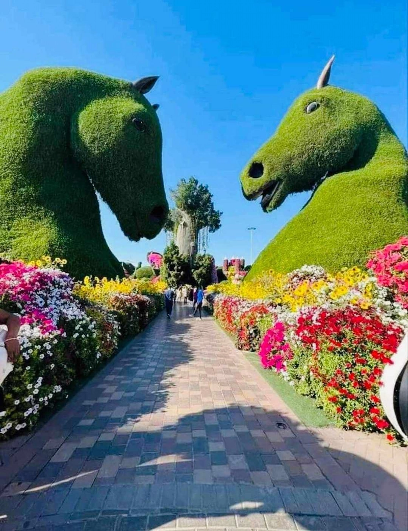 Nguyên tắc cốt lõi trong thiết kế đường hoa cây bụi tạo điểm nhấn cảnh quan (Nguồn: Pinterest)