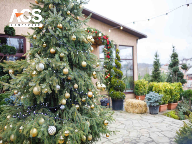 Cây thông Noel ngoài trời – Biểu tượng không thể thiếu