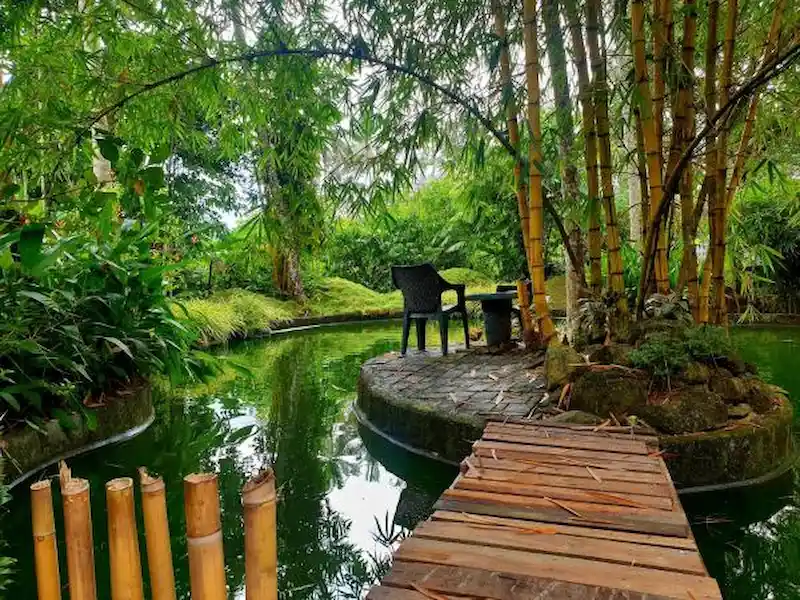 tư vấn thiết kế homestay