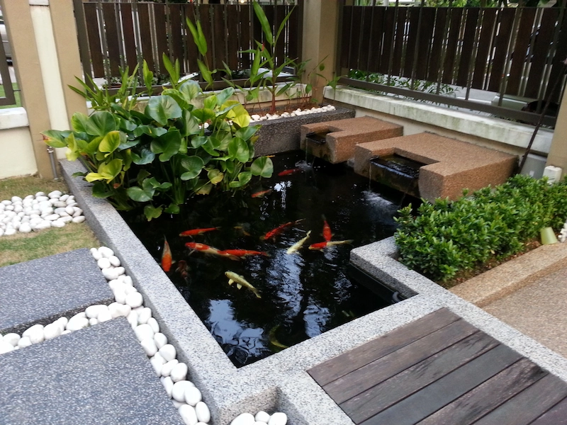 thi công hồ cá koi