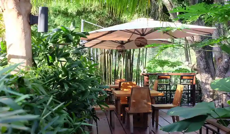 Mẫu thiết kế sân vườn nhiệt đới (Nguồn: Phuket.net )