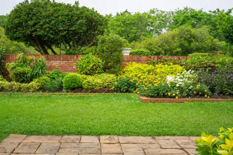 thiết kế sân trước nhà phố