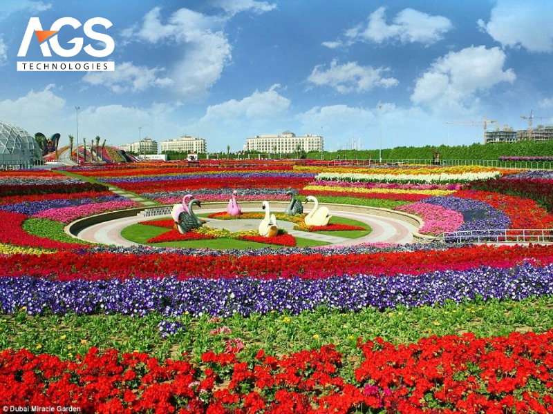 Những lưu ý để duy trì vẻ đẹp cho đường hoa kết hợp thảm cỏ (Nguồn: Pinterest)