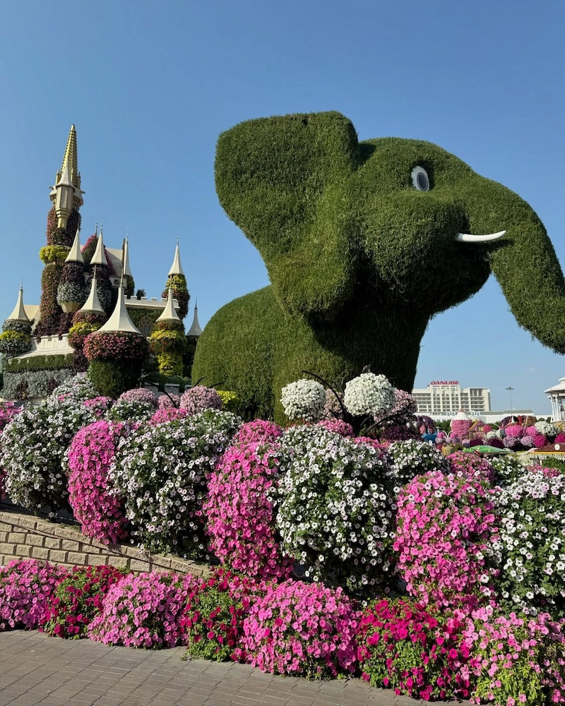 Mẫu thiết kế đường hoa phong cách hiện đại tối giản (Nguồn: Pinterest)