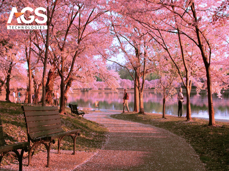 Mẫu 5: Đường hoa theo chủ đề (mùa, loài hoa đặc trưng)