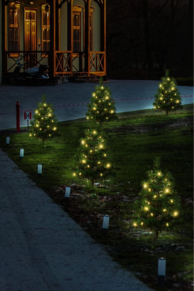 Tận dụng cây xanh hiện có – Nét đẹp tự nhiên (Nguồn: Pinterest)