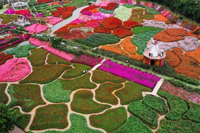 Đường hoa theo mùa (Nguồn: Pinterest)