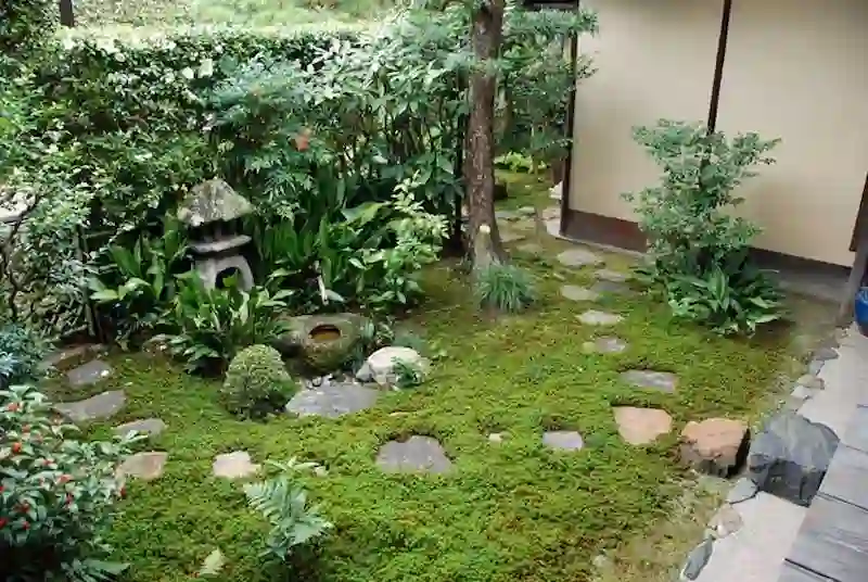Chaniwa (Nguồn: Pinterest)