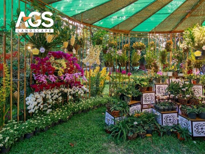 Festival Hoa Lan Hồ Chí Minh (Nguồn: AGS Landscape)