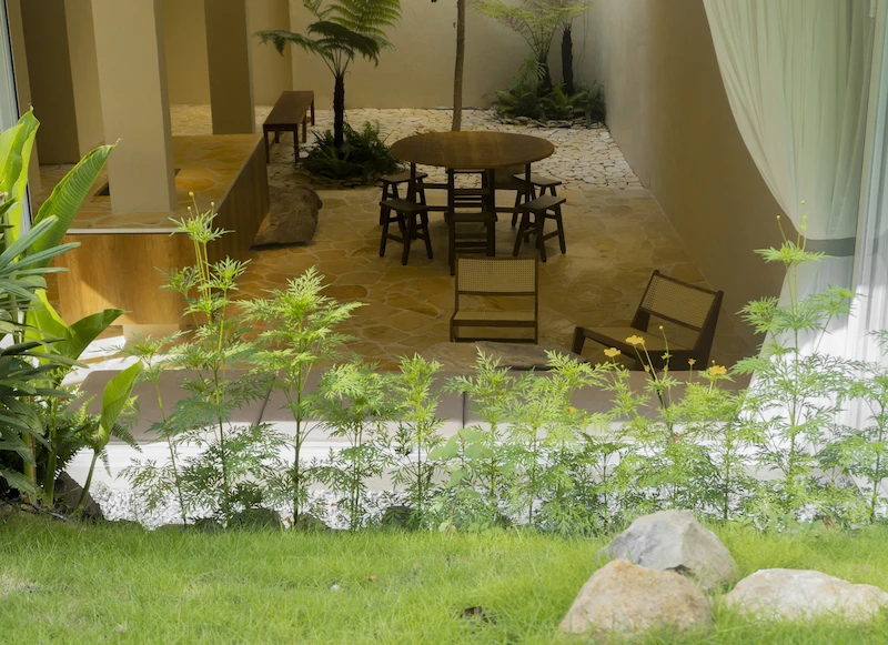 thiết kế sân vườn homestay thiết kế sân vườn homestay