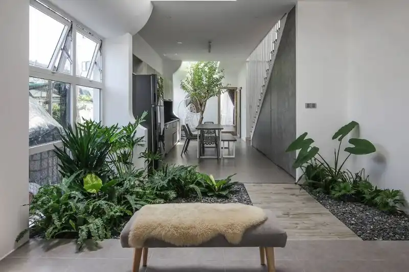 Các Vấn Đề Thường Gặp Và Giải Pháp Tối Ưu Trong Thiết Kế Cảnh Quan Quy Mô Nhỏ (Nguồn ảnh: Internet)