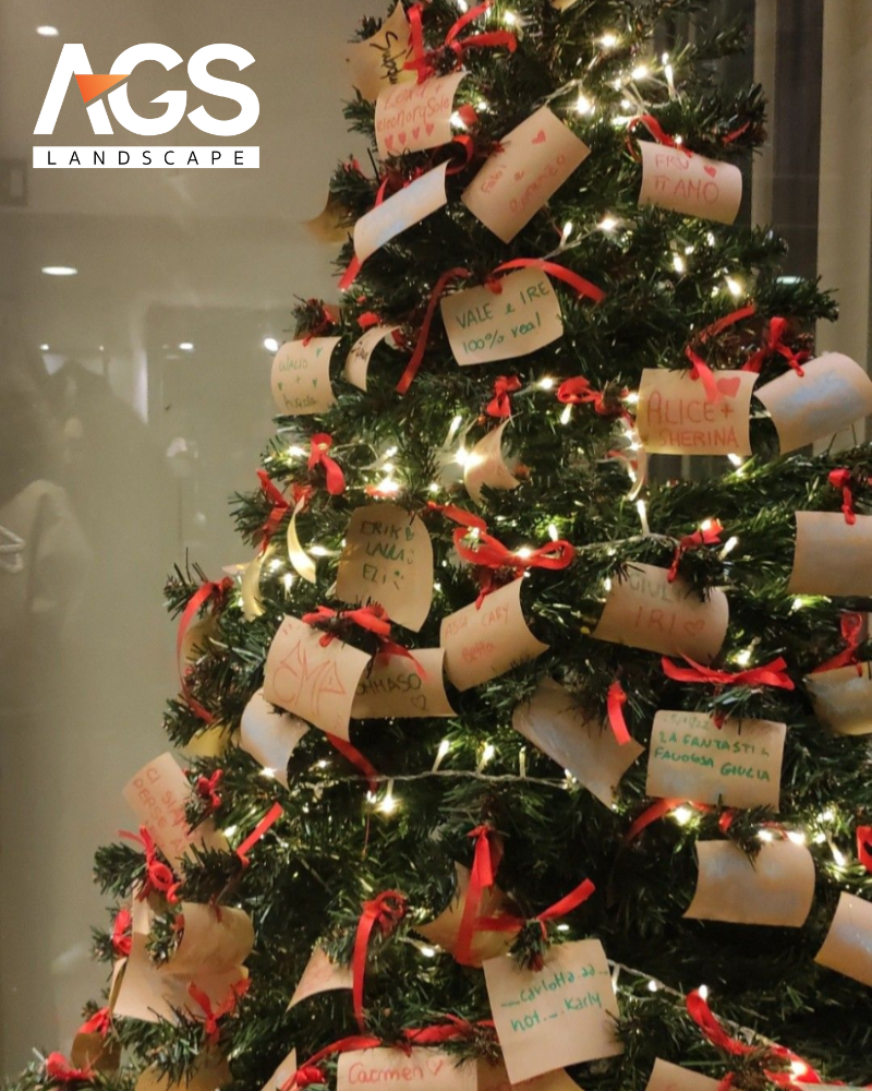 Cây thông "ước nguyện" (Nguồn: Pinterest)