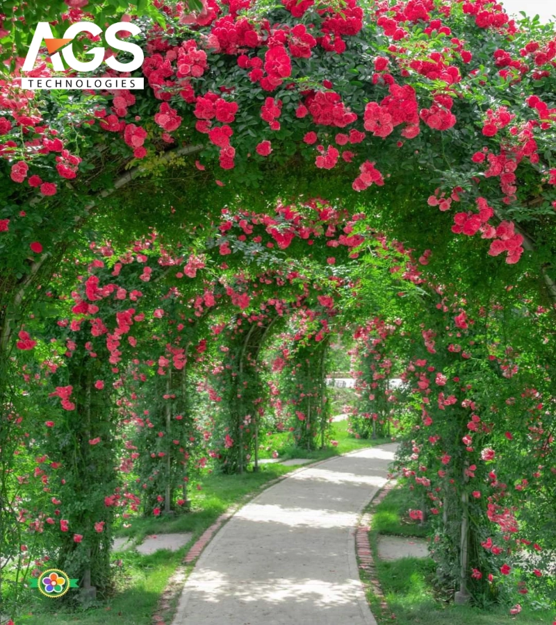 Đường hoa cây leo theo phong cách lãng mạn cổ điển (Nguồn: Pinterest)