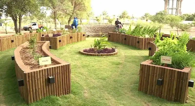 thiết kế cảnh quan trường tiểu học