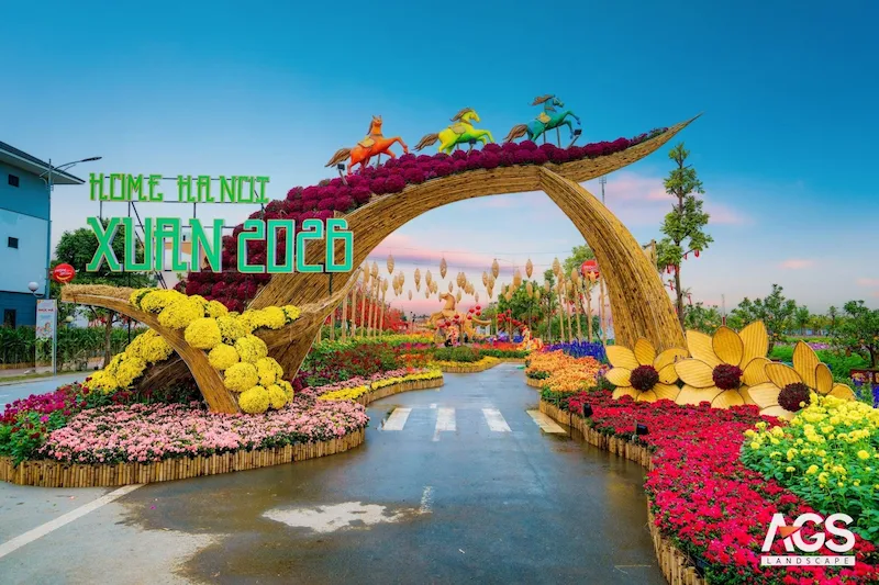 Đường hoa Hà Nội 2026