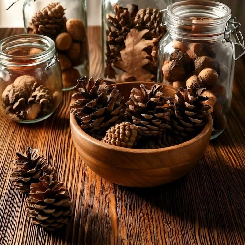 Quả thông khô, cành cây khô (Nguồn: Pinterest)