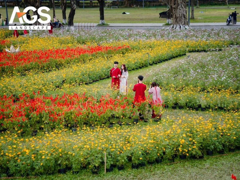 Tết Phú Xuân 2026