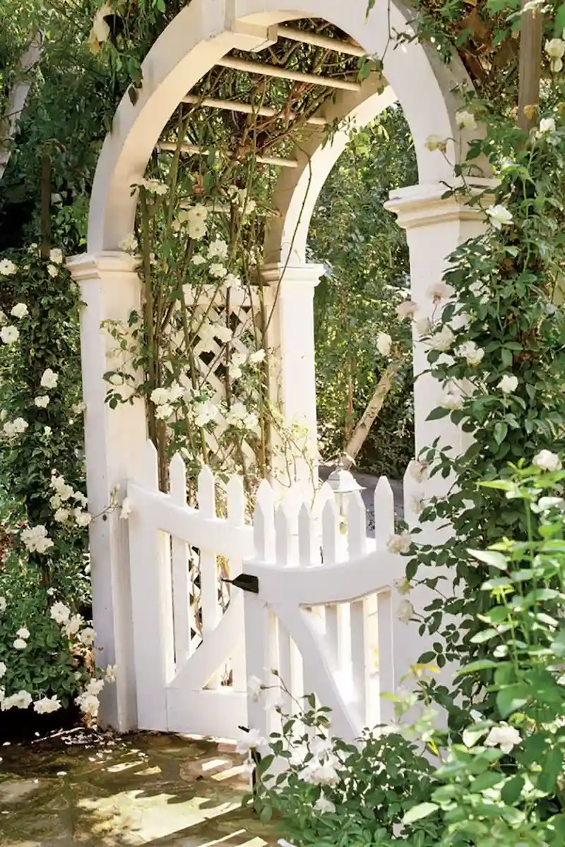 Sân trước bán cổ điển với cổng vòm và cây leo ( Nguồn: Pinterest )