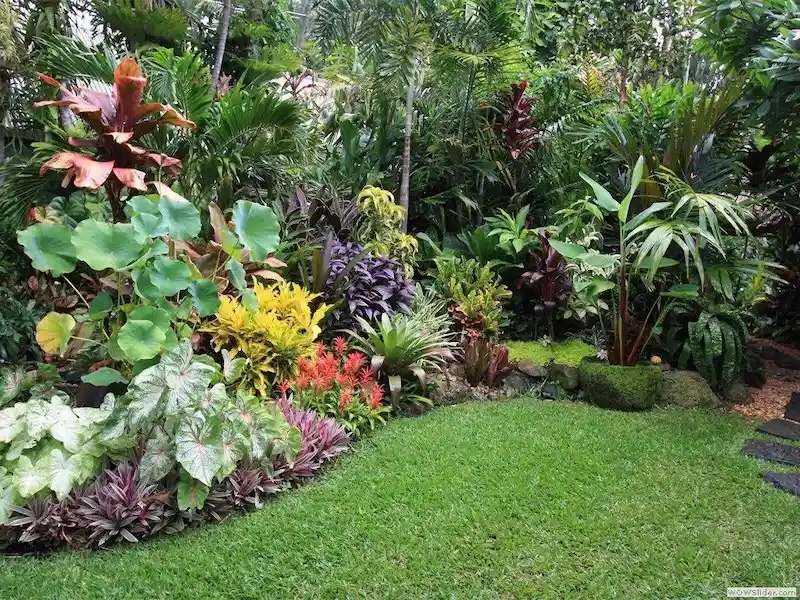 Sân vườn phong cách nhiệt đới đơn giản